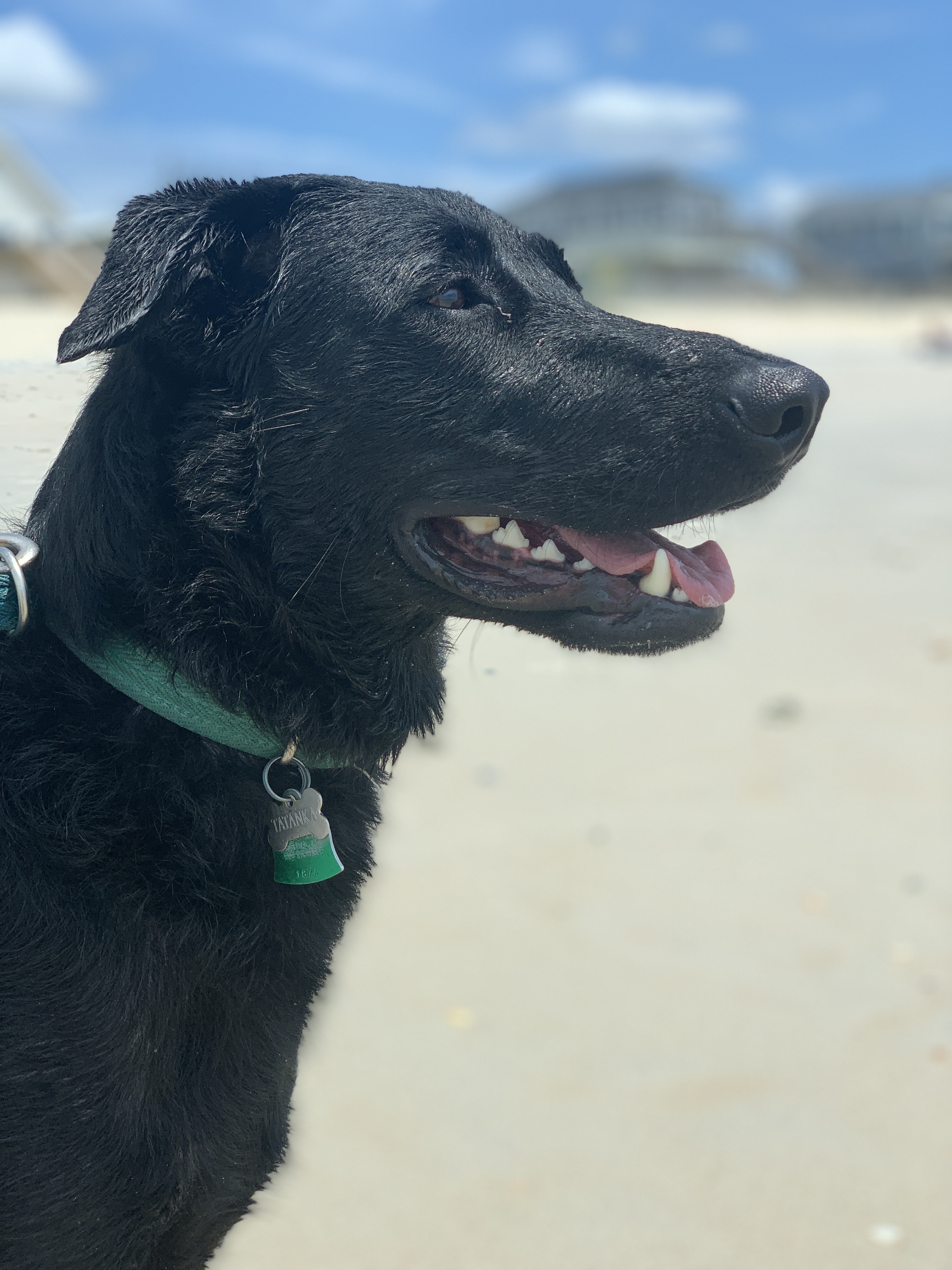 Beach Day